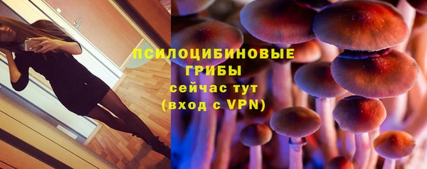 гашик Медвежьегорск