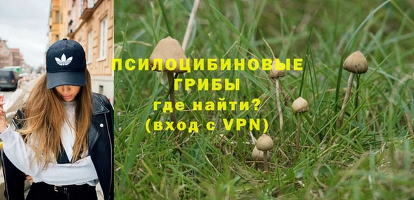 сатива Мегион