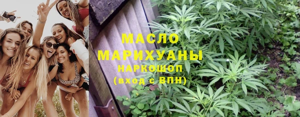 сатива Мегион