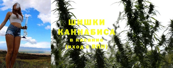 сатива Мегион