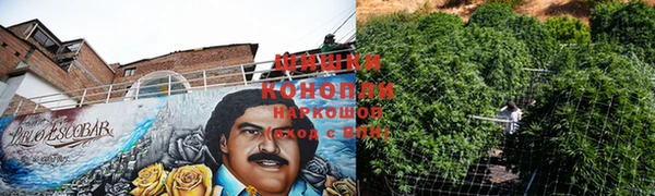 сатива Мегион