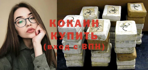 гашик Медвежьегорск