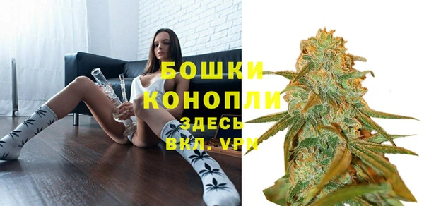 ПСИЛОЦИБИНОВЫЕ ГРИБЫ Лихославль
