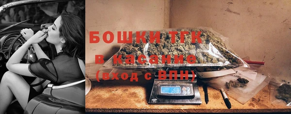 сатива Мегион