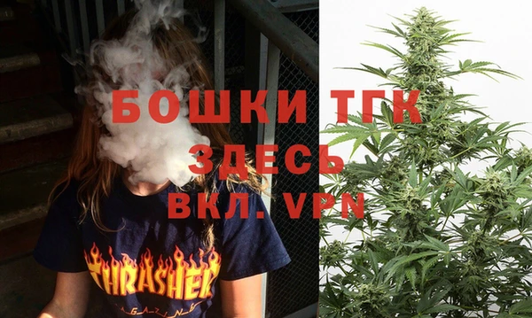 сатива Мегион